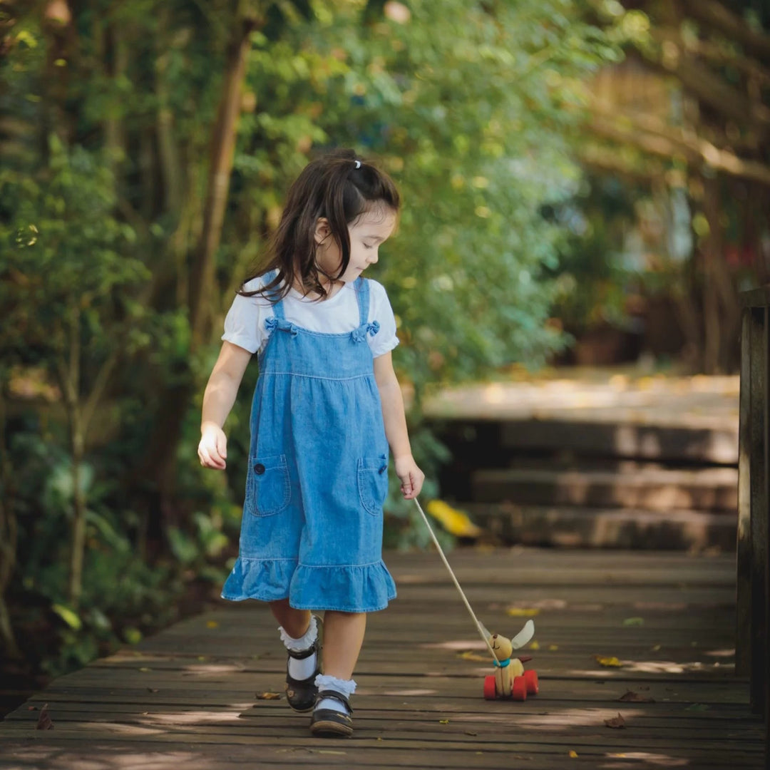 Plan Toys Happy Puppy