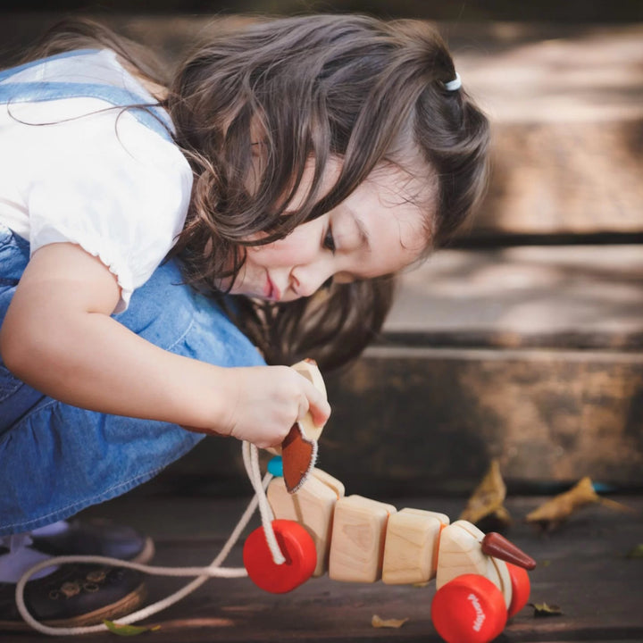 Plan Toys Happy Puppy