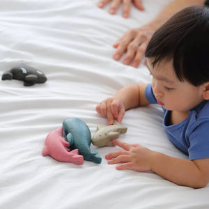 Plan Toys Sea Life Set
