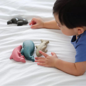 Plan Toys Sea Life Set