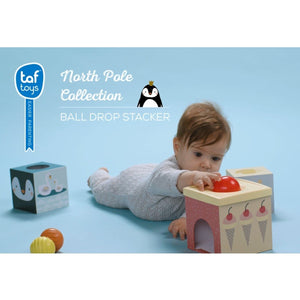 Taf Toys North Pole Ball Stacker