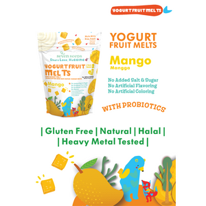 Hugging Love Yogurt Fruit Melts Mango pouch