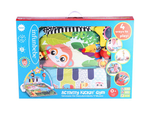 Infunbebe Activity Kickin Gym carton