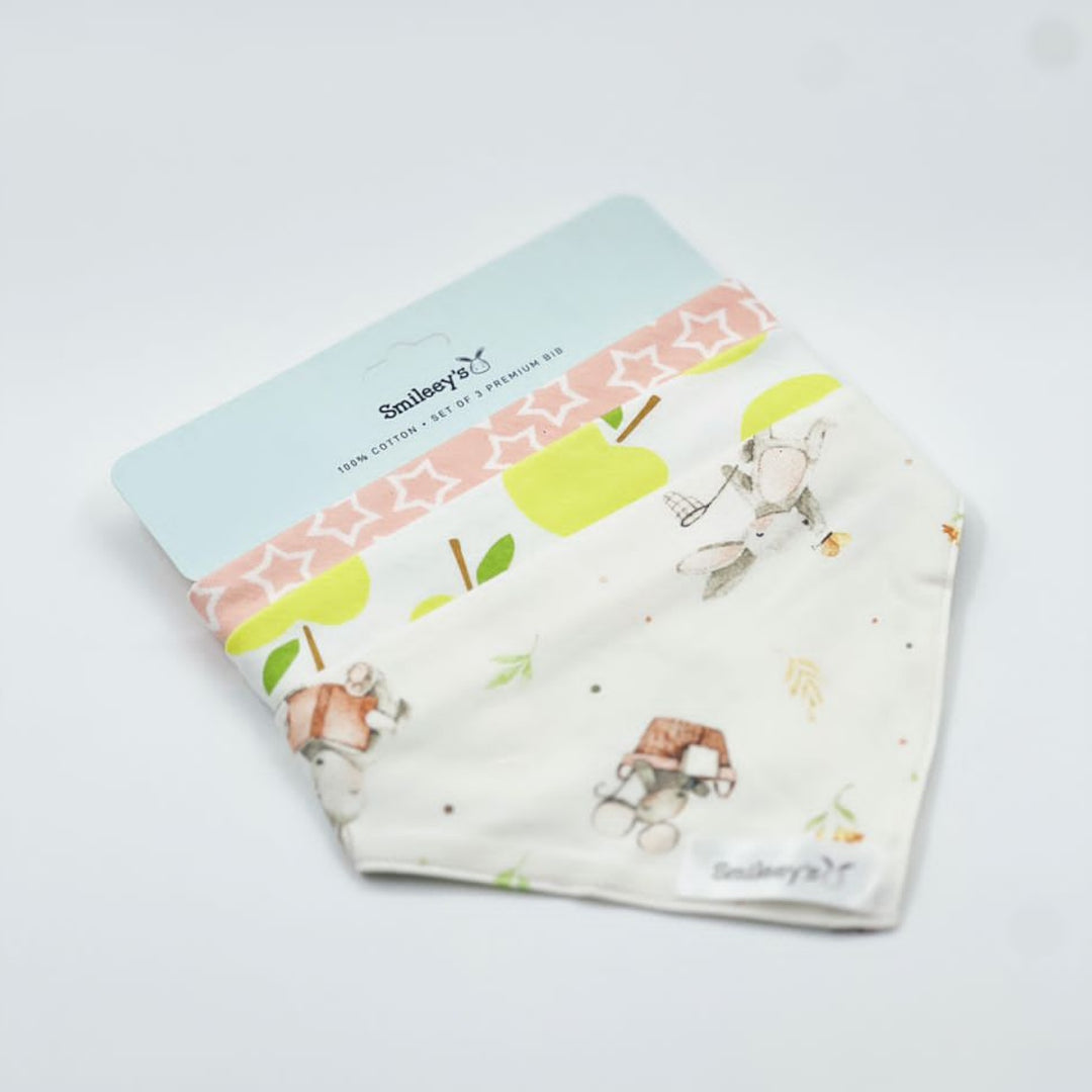 Smileey's 3pcs Bib Assorted (Triangle)