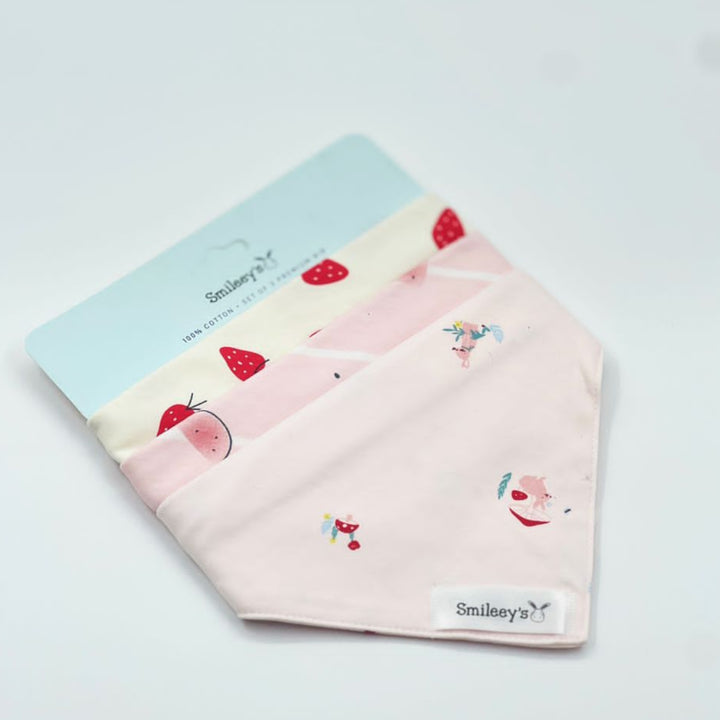 Smileey's 3pcs Bib Assorted (Triangle)