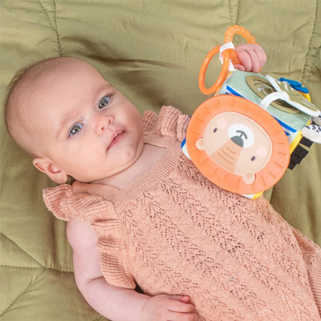 Taf Toys Savannah Discovery Cube