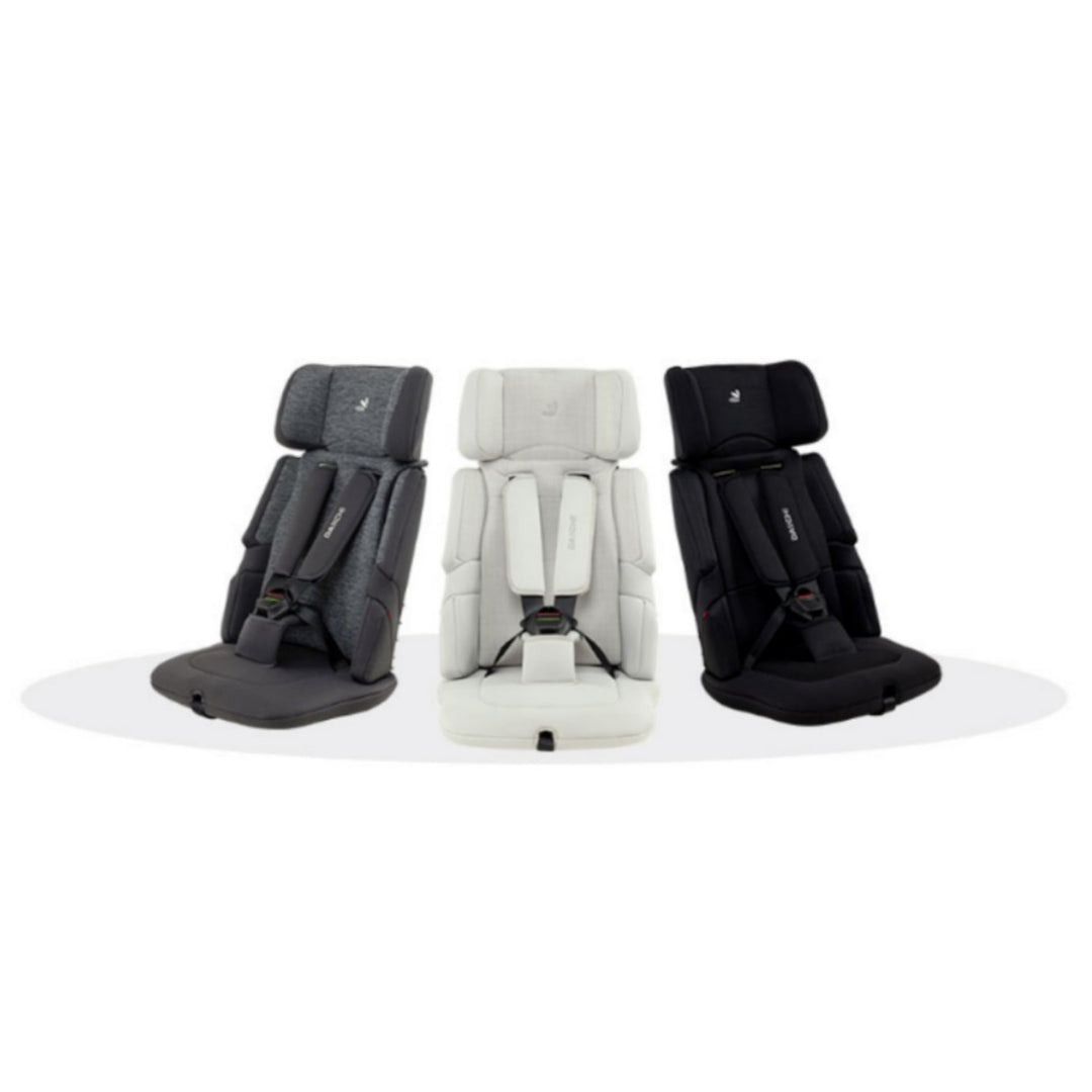 Daiichi Easy Carry 2