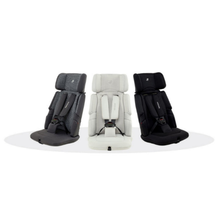 Daiichi Easy Carry 2