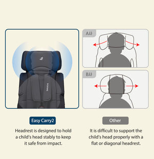 Daiichi Easy Carry 2