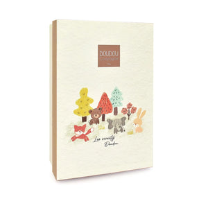 Sweety fox comforter gift box