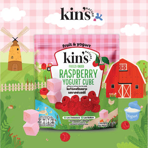 Kin's Nature Freeze-Dried Yogurt Cube