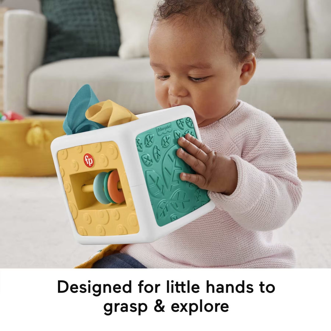 Fisher-Price Sensory Tissue Box