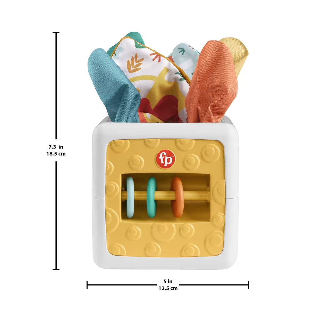 Fisher-Price Sensory Tissue Box