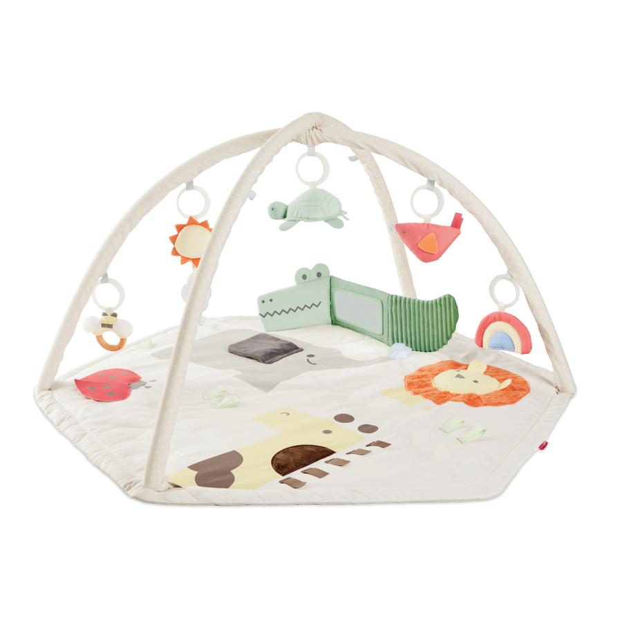 Skip Hop Geometric Wonders Activity Gym