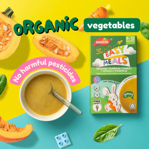 Gnubkins Organic Pumpkin, Carrot & Spinach Porridge (6-12 months)