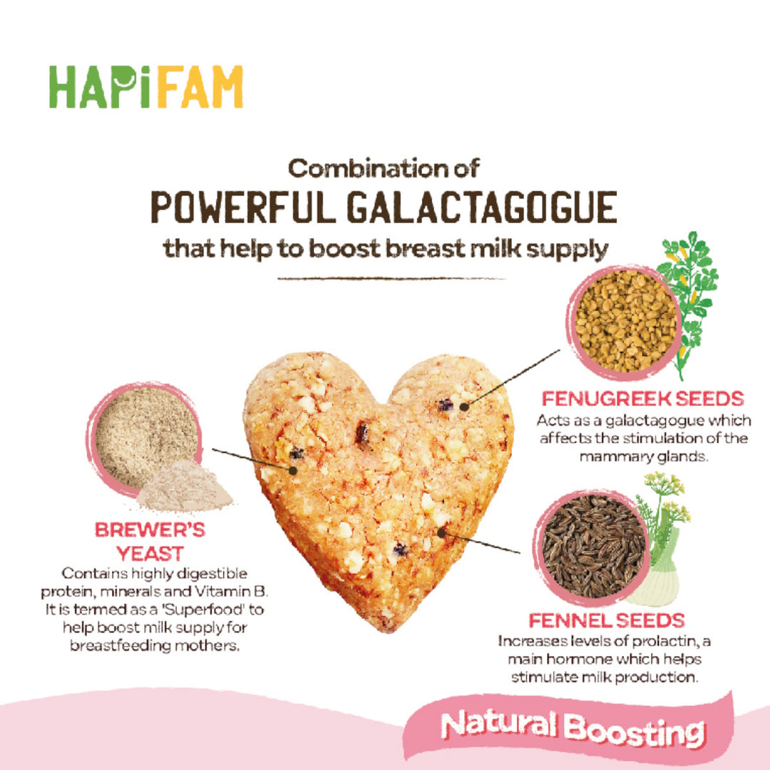 Hapi Moms Lactation Trial Pack (12G X 4)