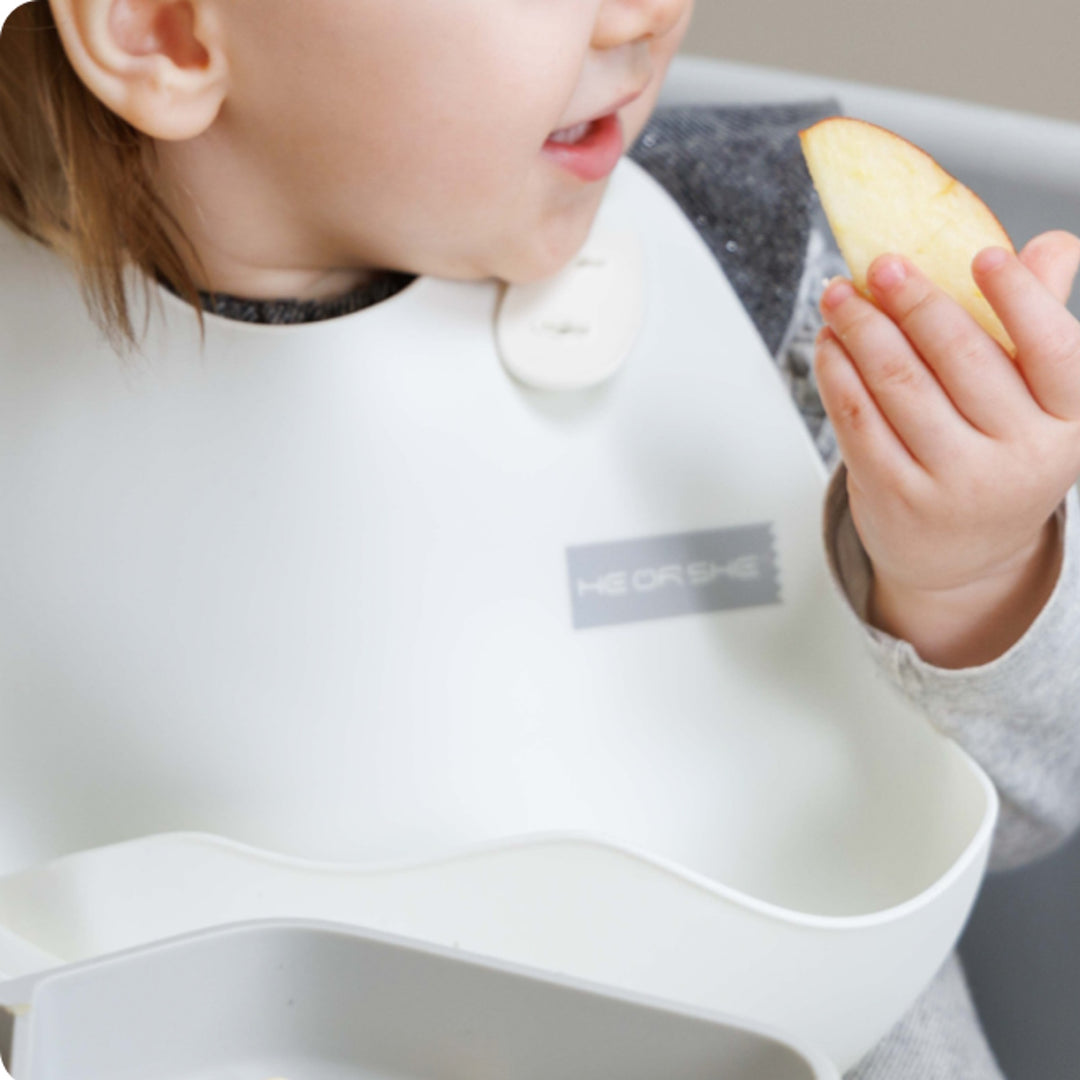 HE OR SHE Silicon Bib