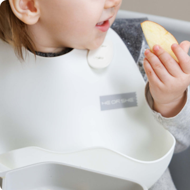 HE OR SHE Silicon Bib
