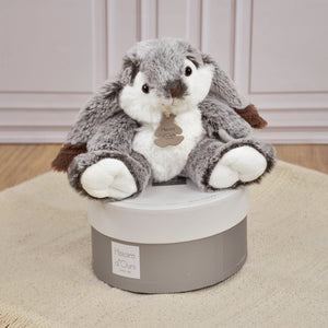 Histoire d'Ours Marius rabbit with round gift box