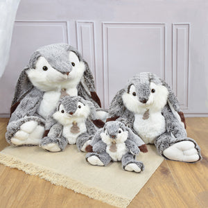Histoire d'Ours Marius rabbit size range