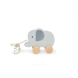 Bubble Wooden Pull Along Toy