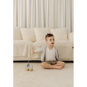 Bubble Wooden Pull Along Toy