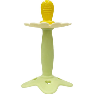 Nature Love Mere Chewable Teether (Case)