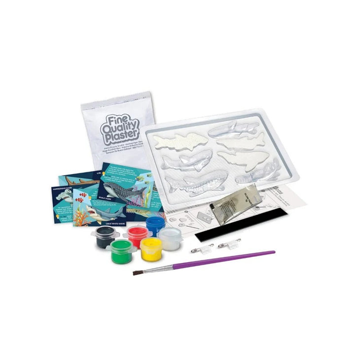 4M Mould & Paint - Glow Shark