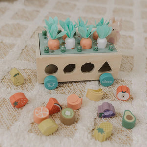 Bubble  Wooden Vegetable Garden