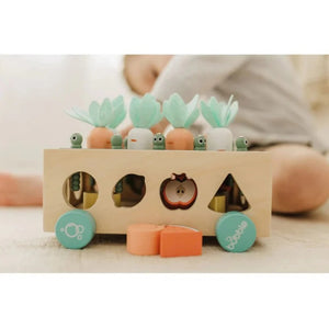 Bubble  Wooden Vegetable Garden