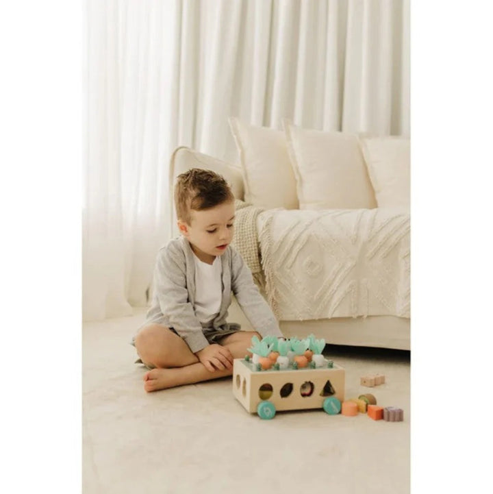 Bubble  Wooden Vegetable Garden