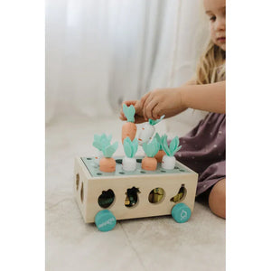 Bubble  Wooden Vegetable Garden