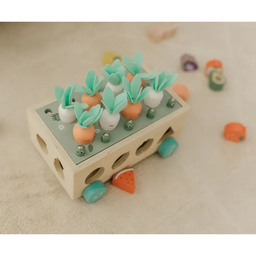 Bubble  Wooden Vegetable Garden