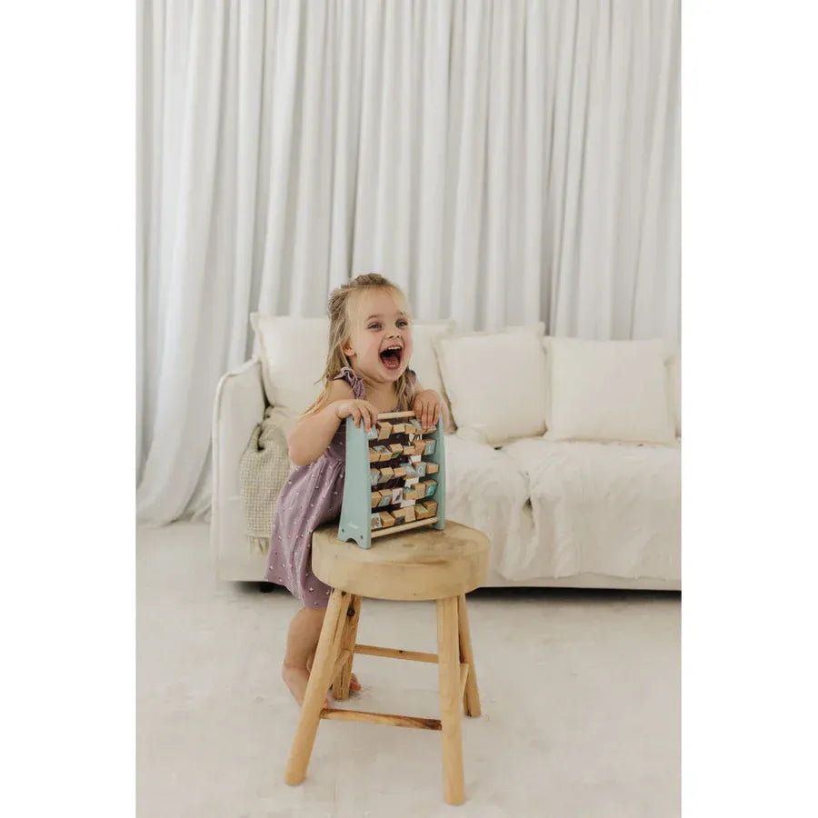 Bubble Wooden Abacus