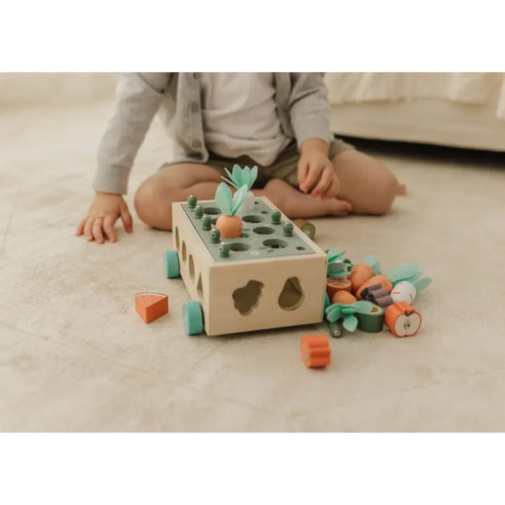 Bubble  Wooden Vegetable Garden