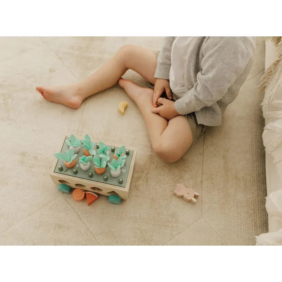 Bubble  Wooden Vegetable Garden