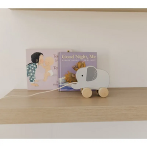 Bubble Wooden Pull Along Toy