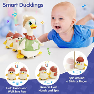 HOLA Waddling Duck Family
