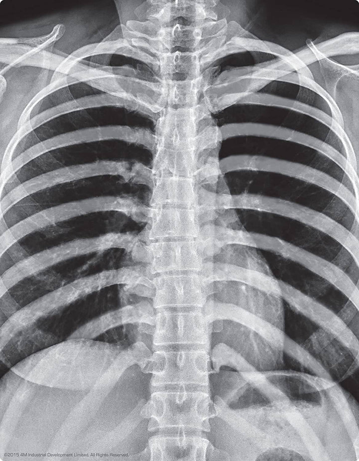 4M KidzLabs Glow Human Skeleton