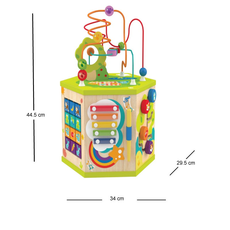 Hape Hexagonal Activity cube