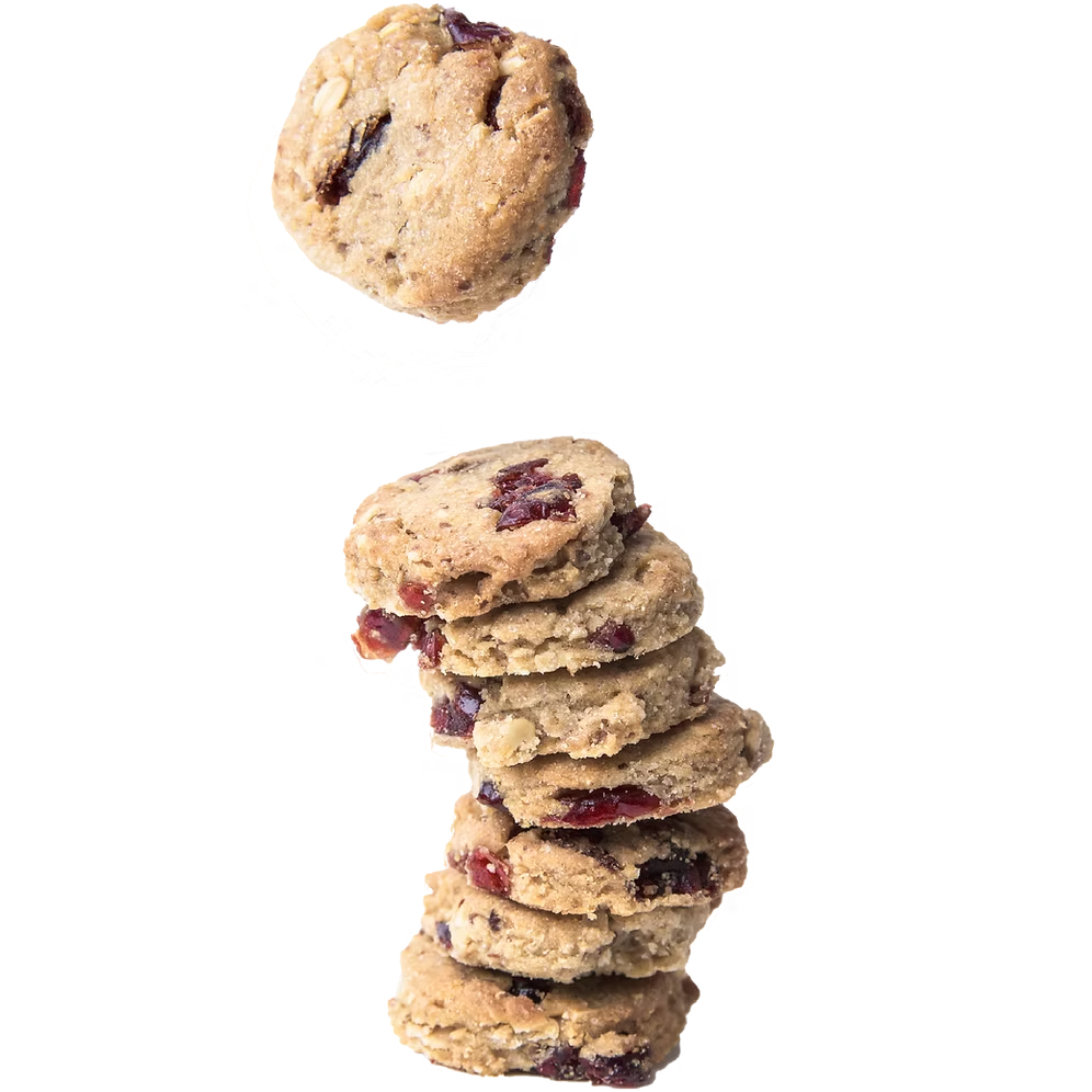 SLB Cranberries Lactation Cookies (200g)