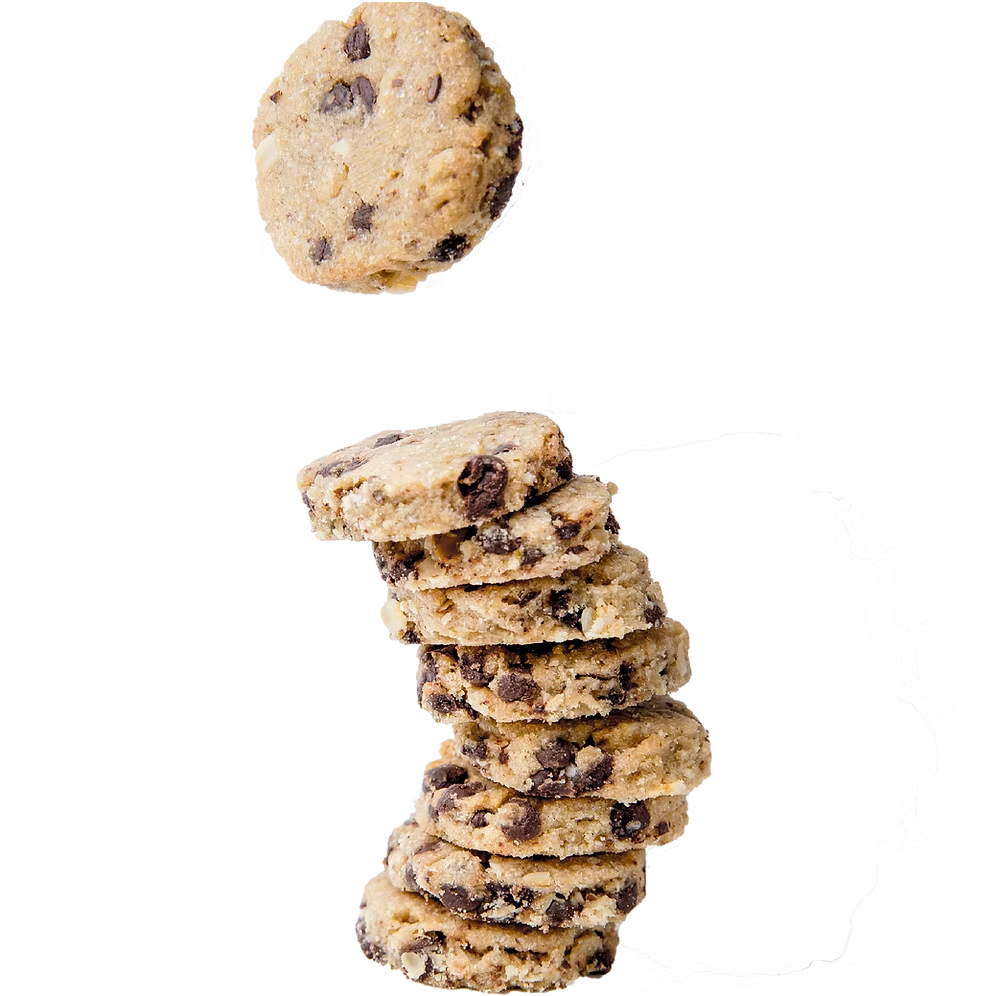 SLB Chocolate Chip Lactation Cookies (200g)