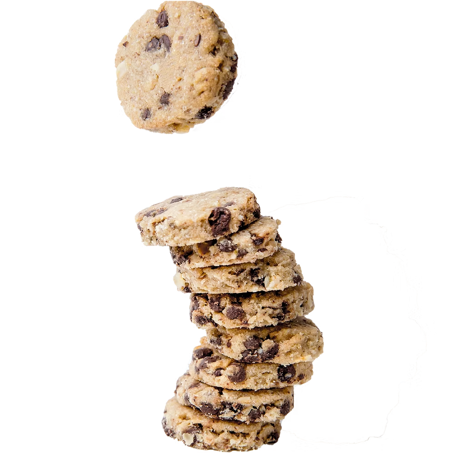 SLB Chocolate Chip Lactation Cookies (200g)