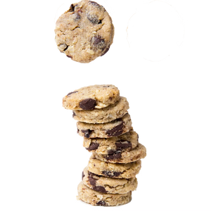 SLB Dark Chocolate Chip Lactation Cookies (200g)