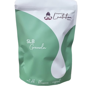SLB Nutty Chocolate Lactation Granola (225g)
