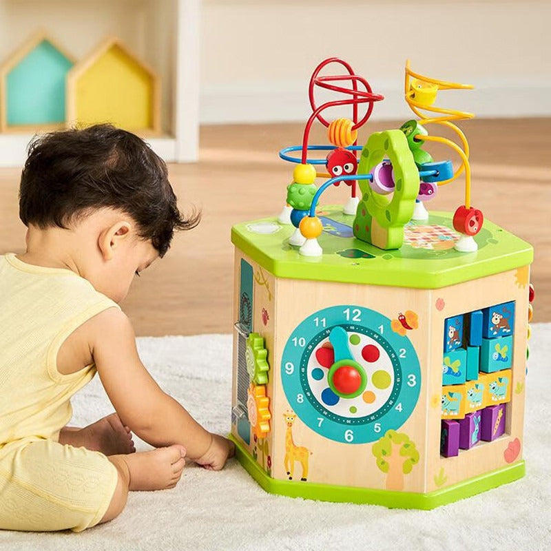 Hape Hexagonal Activity cube