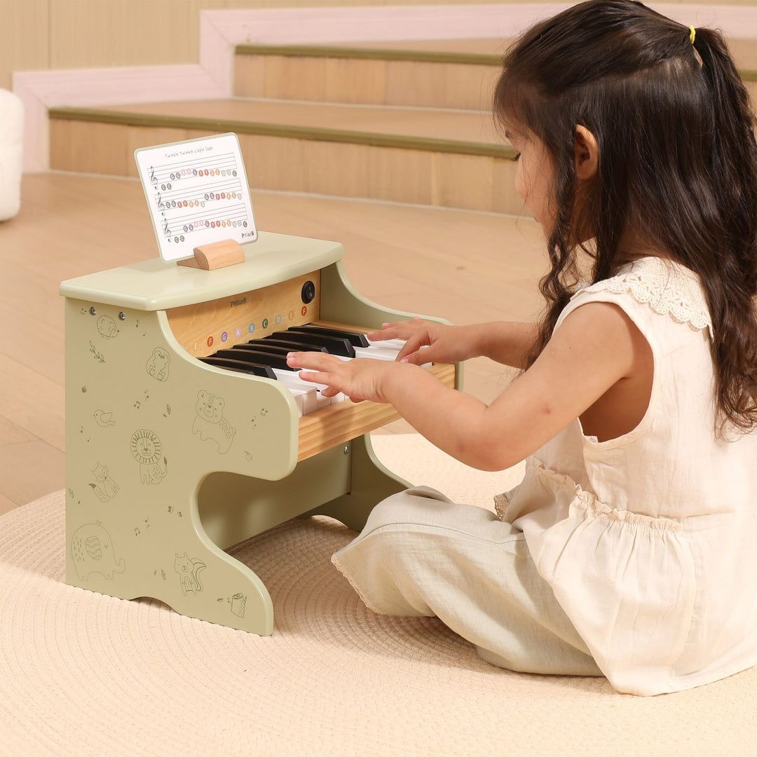 Polarb Wooden Piano