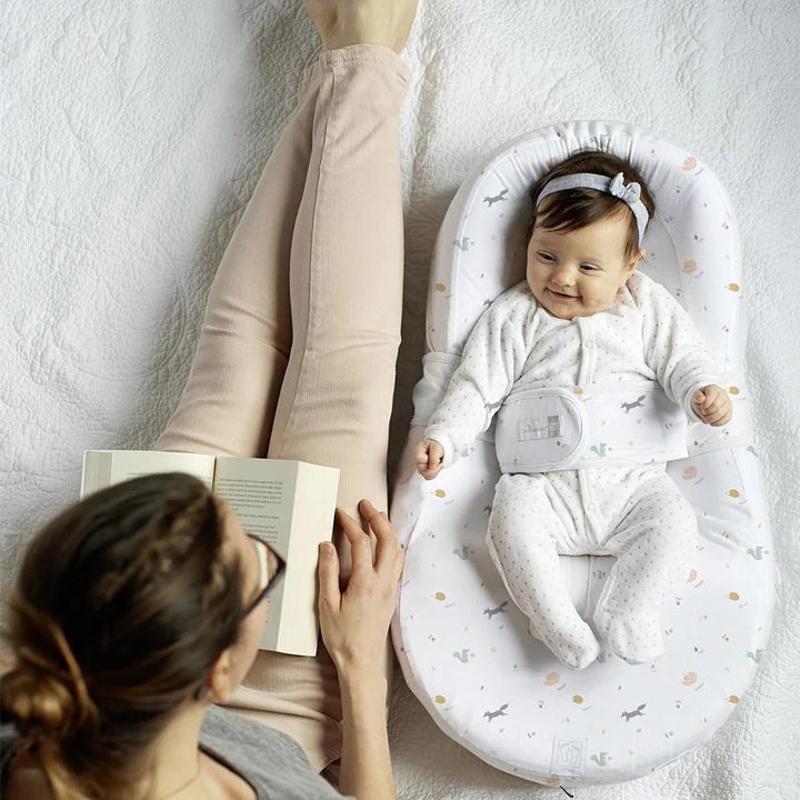 Red Castle Cocoonababy Nest