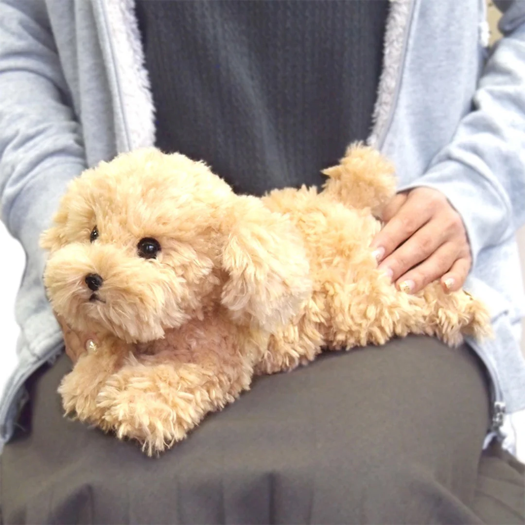 Sunlemon Lying Dog Stuffed Toy Poodle