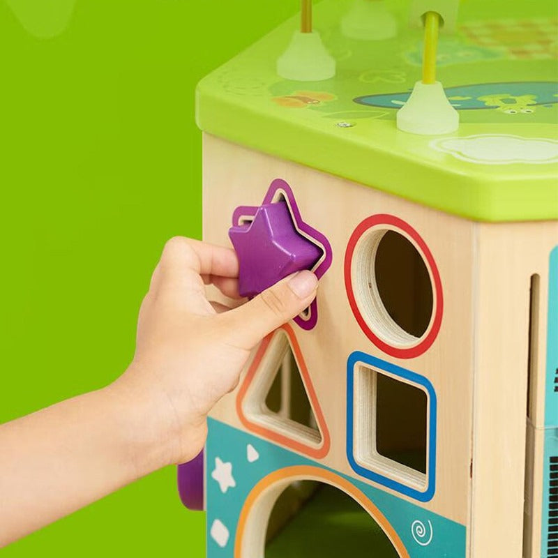 Hape Hexagonal Activity cube